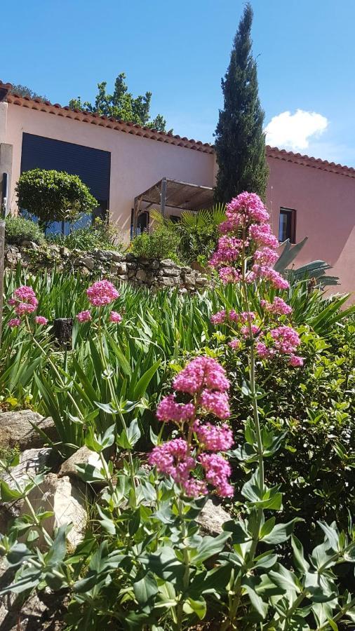 Bastide Cigaline Villa Le Beausset Exterior photo
