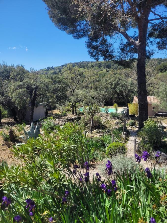 Bastide Cigaline Villa Le Beausset Exterior photo