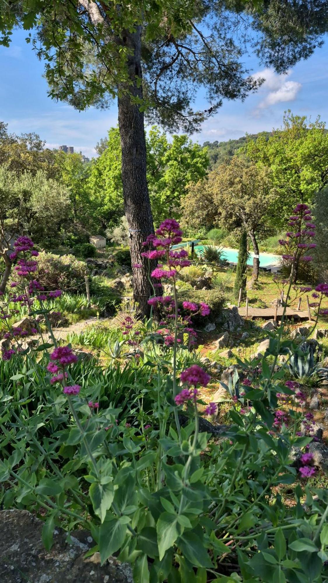 Bastide Cigaline Villa Le Beausset Exterior photo